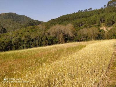 Chácara, 23 m² - Foto 5