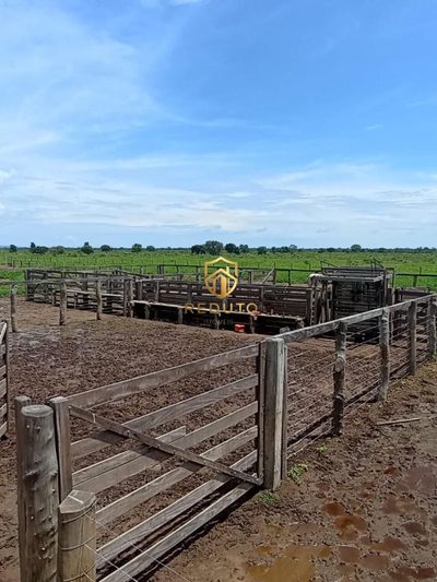 Fazenda - Foto 5