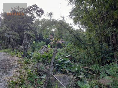 Terreno, 915 m² - Foto 5