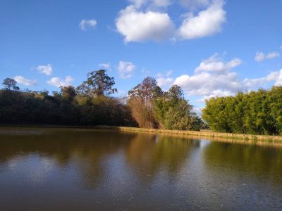 Terreno, 2 hectares - Foto 3