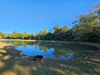 Terreno, 2 hectares - Foto 4