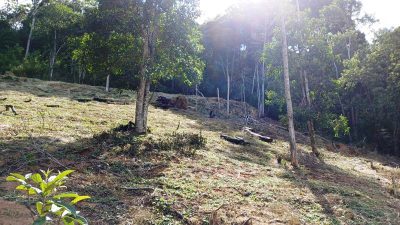Terreno, 5000 m² - Foto 2