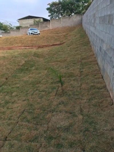 Terreno, 1000 m² - Foto 2