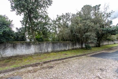 Terreno, 301 m² - Foto 3