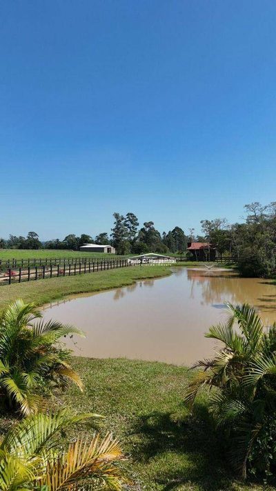 Chácara, 2 quartos, 6 hectares - Foto 1