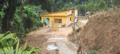 Sítio, 2 quartos, 4500 m² - Foto 1