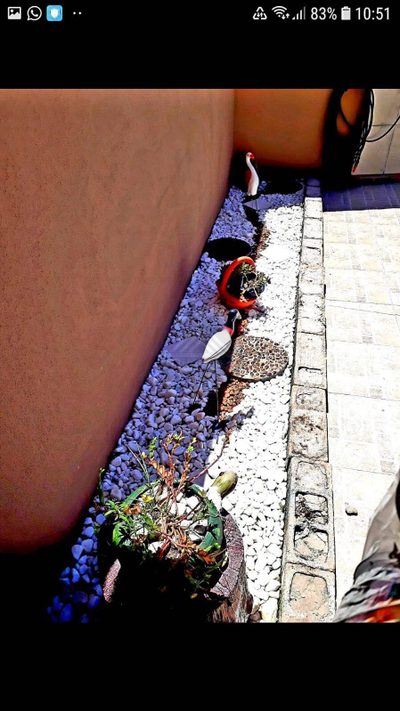Casa, 2 quartos, 150 m² - Foto 5