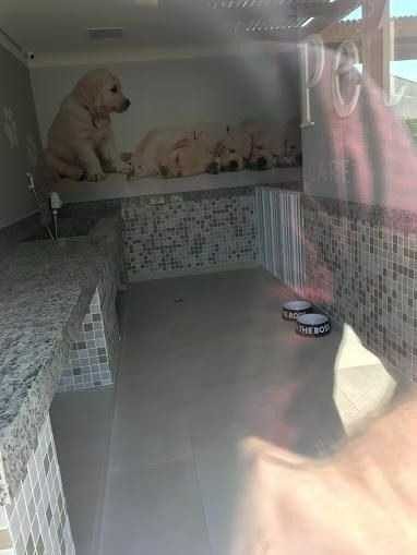 Apartamento, 2 quartos, 67 m² - Foto 4