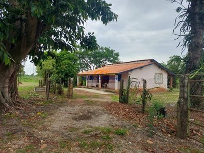 Sítio, 17 hectares - Foto 4