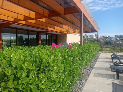Terreno, 800 m² - Foto 5