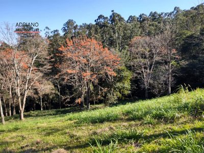 Terreno, 2 hectares - Foto 3