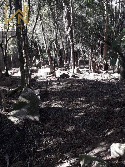 Terreno, 1000 m² - Foto 5