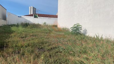 Terreno, 550 m² - Foto 2
