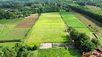 Sítio, 3 quartos, 10 hectares - Foto 2