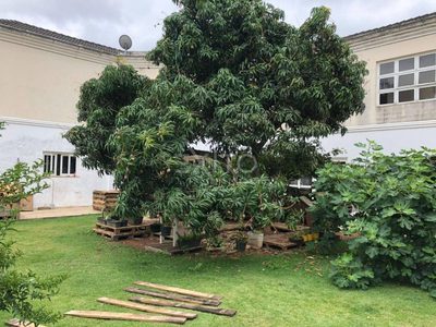Casa, 5 quartos, 790 m² - Foto 1