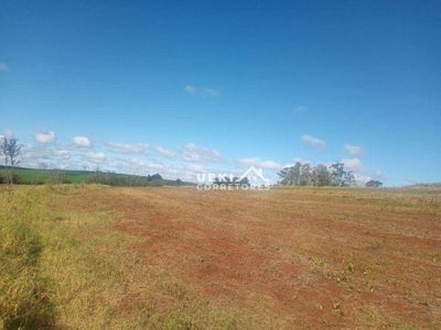 Sítio, 12 hectares - Foto 4