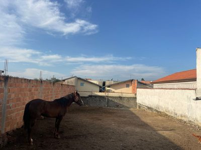 Terreno, 250 m² - Foto 3