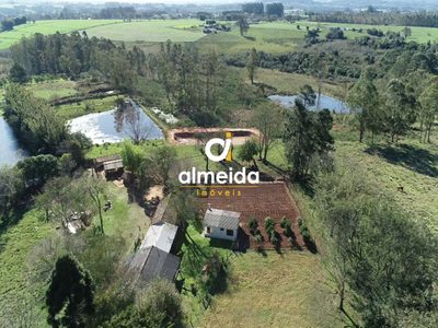 Chácara, 3 quartos, 68700 hectares - Foto 4