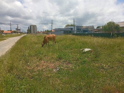 Terreno, 360 m² - Foto 4
