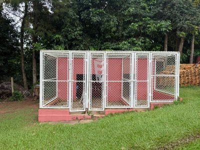 Casa, 4 quartos, 6229 m² - Foto 4
