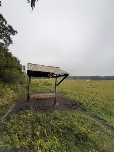 Fazenda, 20 hectares - Foto 2