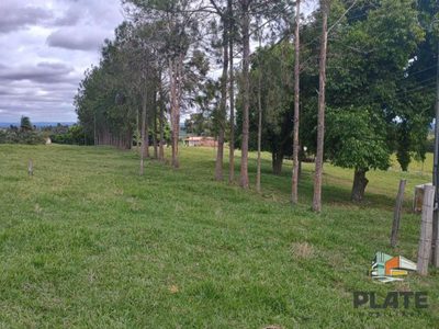 Sítio, 17 hectares - Foto 3