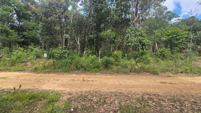 Terreno, 2025 m² - Foto 4