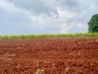 Fazenda, 34 m² - Foto 5