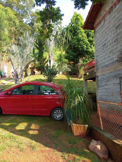Chácara, 2 quartos, 1065 m² - Foto 3
