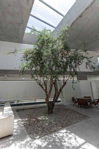 Casa de Condomínio, 5 quartos - Foto 5