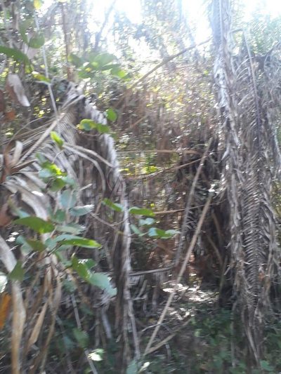 Sítio, 4 quartos - Foto 5
