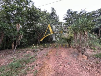 Sítio, 3 quartos, 20 m² - Foto 5