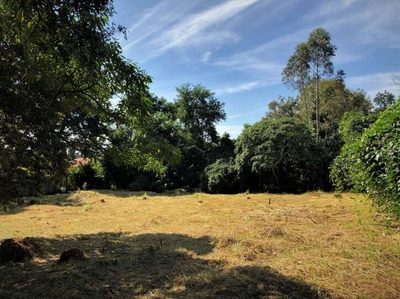 Terreno - Foto 4