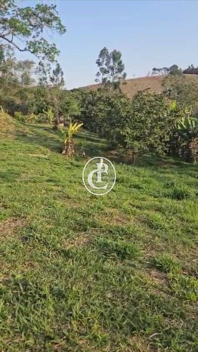 Chácara, 4 quartos, 3800 m² - Foto 5