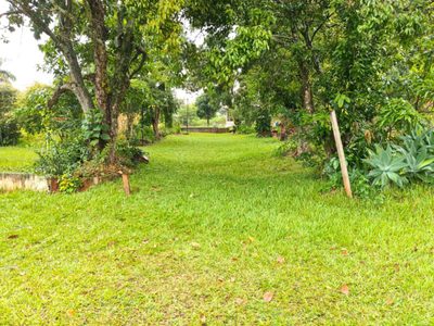 Terreno, 1000 m² - Foto 2