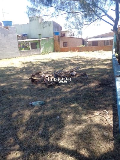 Terreno, 301 m² - Foto 2