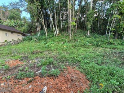 Terreno, 1028 m² - Foto 3