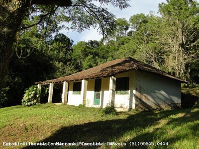 Fazenda, 3 hectares - Foto 2