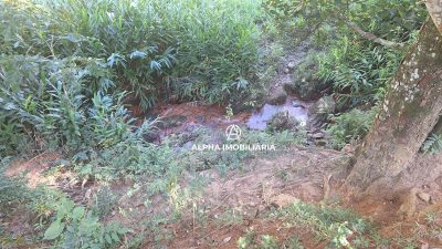 Terreno, 7 hectares - Foto 2