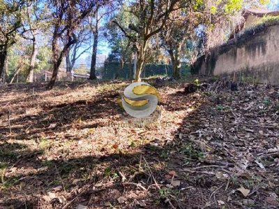 Terreno, 2334 m² - Foto 4