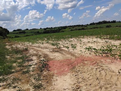 Terreno, 35 hectares - Foto 3