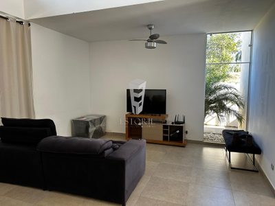 Casa, 1 quarto, 450 m² - Foto 3