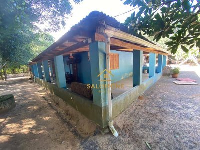 Sítio, 4 quartos, 5000 m² - Foto 5