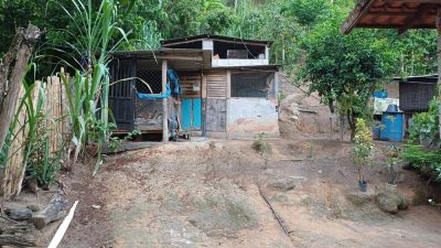 Sítio, 2 quartos, 5000 m² - Foto 5