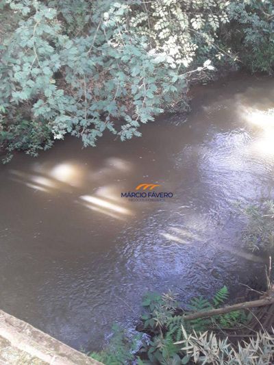 Fazenda, 135 hectares - Foto 2