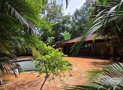 Chácara, 1 quarto, 2000 m² - Foto 2