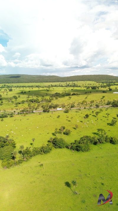 Chácara, 2 hectares - Foto 2