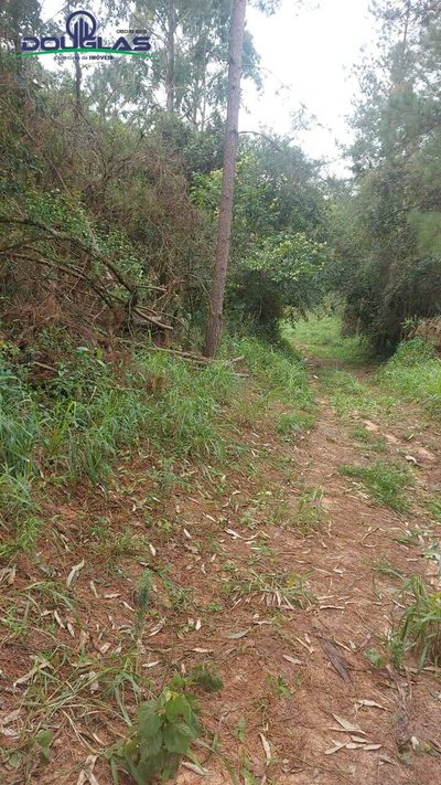 Terreno - Foto 4