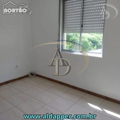 Casa, 2 quartos, 40 m² - Foto 3