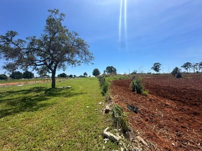 Terreno, 67000 m² - Foto 2